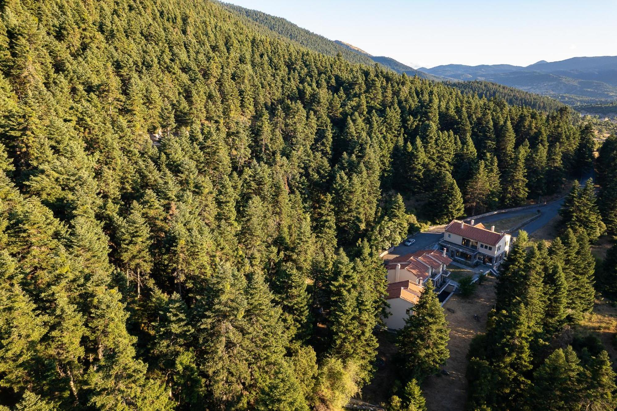 Natura Hotel Витина Экстерьер фото