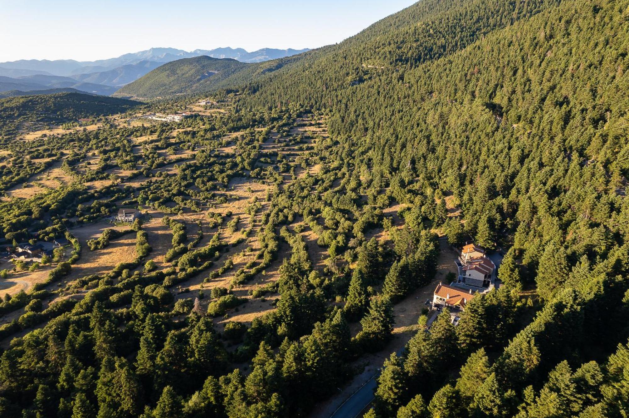 Natura Hotel Витина Экстерьер фото